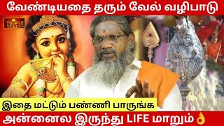 வேண்டியதை தரும் வேல் வழிபாடு இதை மட்டும் பண்ணி பாருங்க - Palaru Swamigal @templexpress