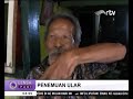 Penangkapan Ular Sanca 4 Meter dalam Rumah Warga di Jakarta Barat