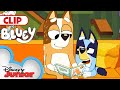 Bluey Season 3 Episode 7 