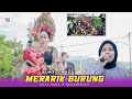 LAGU SASAK TERBARU || MERARIK BURUNG SUMY COMEL / AURA NADA