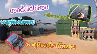 รีวิว ตั้งแต่ไข่หอยจนถึงตอนขาย บอกขั้นตอนทุกอย่าง ผู้บ่าวต่างแดน