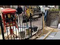 London Makeover - the front garden project