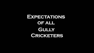 Gully Cricket Expectations VS Reality(720P_HD)