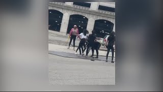 Shake Shack Detroit fight - 12 girls brawl in parking lot
