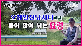 S#.218. 오창일신낚시터에서 붕어 많이 낚는 요령 / 여름철 붕어낚시/붕어낚시채비/짬뽕채비