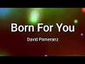 Born For You - David Pomeranz (Karaoke Version)