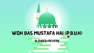 Woh Bas Mustafa Hai | By Farhan Ali Waris | Naat | slowed & reverb