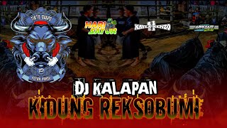 DJ BANTEGAN KALAPAN‼️TIRTO DWIPO (KIDUNG REKSO BUMI)Remixer by @arpedamproject