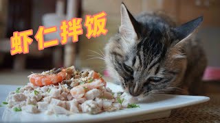 【今日份猫饭】猫咪比较爱吃虾，就给猫咪做了份虾仁拌饭