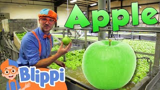Blippi Visits an Apple Fruit Factory | Blippi | Kids Songs | Moonbug Kids