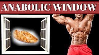 Post Workout Window For Muscle Building