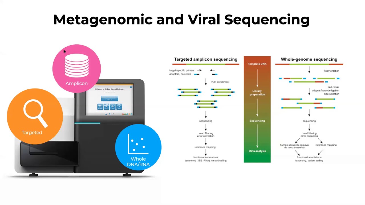 FREE Webinar On Bioinformatics In Infectious Diseases Research (October ...