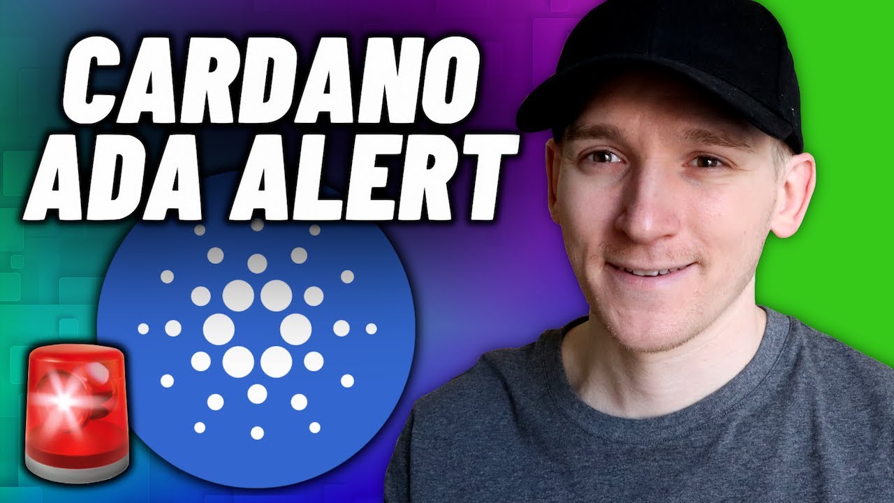 Cardano Alert!! You NEED To See This - YouTube