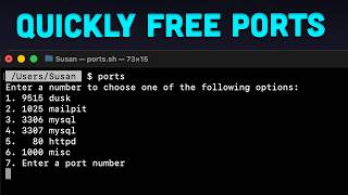 Script to Quickly Free Ports on a Mac