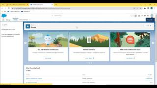 Grant Salesforce Support login access to your organization #inSalesforce
