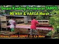 Desain Kandang Pembesaran TAMPIL MEWAH & HARGA Murah Khusus LAHAN SEMPIT 1 x 3,6 Meter