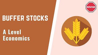 A Level Economics - Buffer Stocks