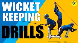 TOP 10 WICKET KEEPING DRILLS AND FITNESS TIPS !  Hindi ! Cricket Coaching