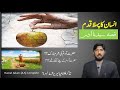 Hazrat Adam (A. S.)I Prophet Adam IAdam and eve I Pyam e Islam I Asim Javed I Episode #1