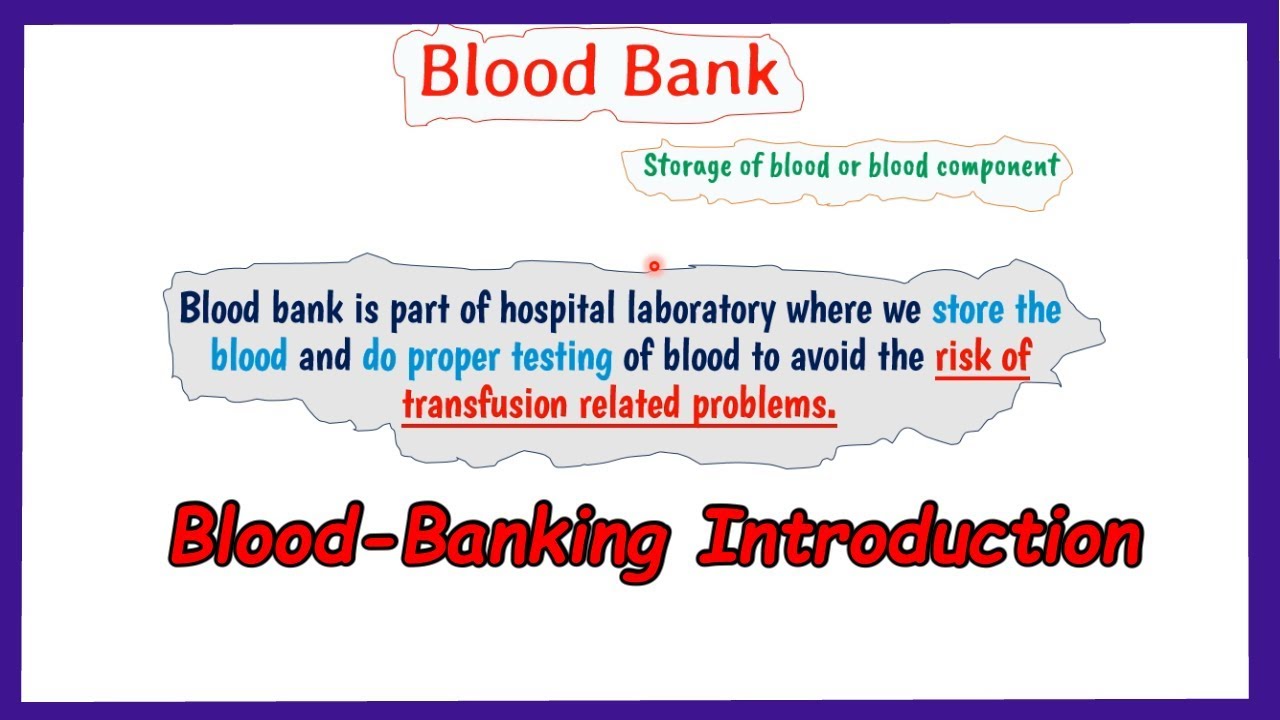 Blood Bank || Introduction || Blood Banking Basic - YouTube