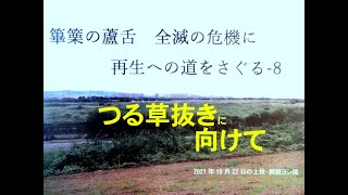 篳篥の蘆舌　全滅の危機に再生への道をさぐる-8　 つる草抜きに向けて　e