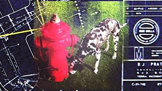 SIGNALS 01 : Subdivisions by Rush REMASTERED