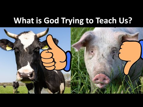 What animals did God say we should not eat?