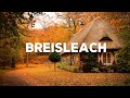 Breisleach - Francis Goya | Romantic Guitar Love Songs