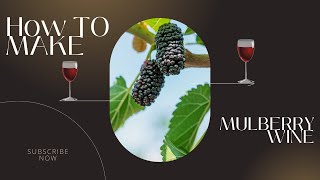 How To Make Mulberry Wine!!!!