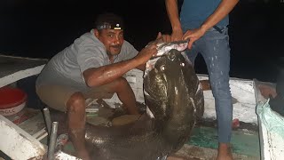 Watch the terrifying moments of hunting the  Shifa 80 kilos.. it was flipping the boat between