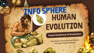 5 Myths About Human Evolution You Probably Believe (Debunked!) 🌍| InfoSphere