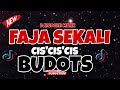 FAJA SEKALI - TIKTOK DANCE BUDOTS | - DJ REDERN MARK