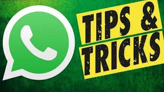 Useful WhatsApp Tips & Tricks | #whatsapptipsandtricks #shorts #viral  New Hidden Whatsapp Trick