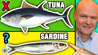 Top 5 Best Fish You Should NEVER Eat & 5 Fish You Must Eat