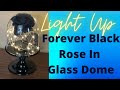 DIY FOREVER BLACK ROSE IN GLASS DOME / Daisy dhey