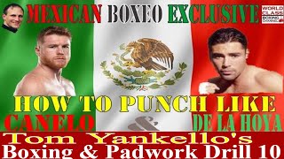 Mexican Boxeo Exclusive | How To Punch Like Canelo Alvarez | & Oscar De La Hoya