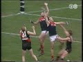 Round 22 Melbourne VS Essendon 1999 Steven Alessio Michael Long