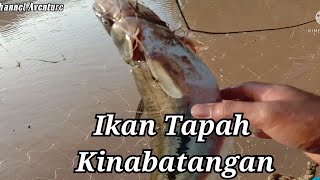 Memukat Dan Memancing Di Sungai Jambatan Dua Kinabatangan #Kinabatangan