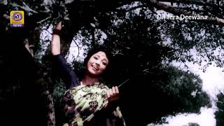 Mujhe Kitna Pyar Hai Tumse - Dil Tera Deewana (1962) - Mohd Rafi - [ Remastered ]