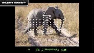 Canon EOS 5D Mark III - Tutorial AF Area Selection 1/14