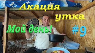 ✅ Акация и мед ПАСЕКА НА СВЯЗИ что на весах?! #ПЧЕЛОВОДСТВО9