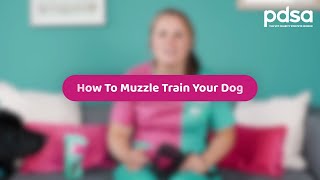How To Muzzle Train Your Dog | Pet Health Advice