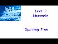 3 Spanning Tree