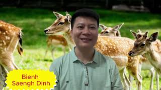 iu mienh Stories | Gongv Buonv Orx Gouv | Loh Hnoi Gouv | Bienh Saengh Dinh