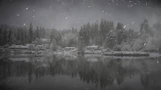 Winter Storm on the Lake  Sounds of Blizzard and Howling Winds  Relaxing Winter Ambience for Sleep