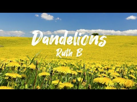 Dandelions - Ruth B (lyrics) - YouTube