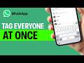 How To Tag Everyone At Once In A WhatsApp Group | Mention Everyone On WhatsApp Group