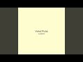 Velvet Pulse