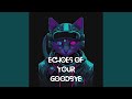 Echoes of Your Goodbye