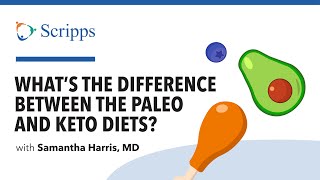 Paleo vs. Keto Diet: Which Diet Plan Is Right for You With Dr. Samantha Harris | San Diego Health